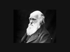Darwin observer