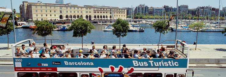 Sightseeing transport