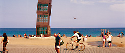 The Barceloneta