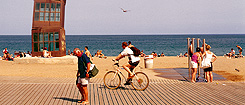 Beaches Beaches