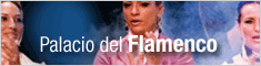 Palacio del Flamenco Palacio del Flamenco