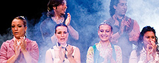 Palacio del Flamenco Palacio del Flamenco