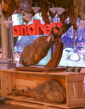 Andreu Xarcuteria i Tastets