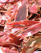 Andreu Xarcuteria i Tastets
